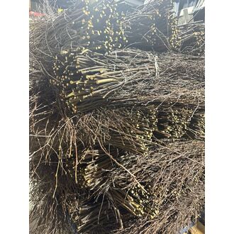 Метла березовая без черенка